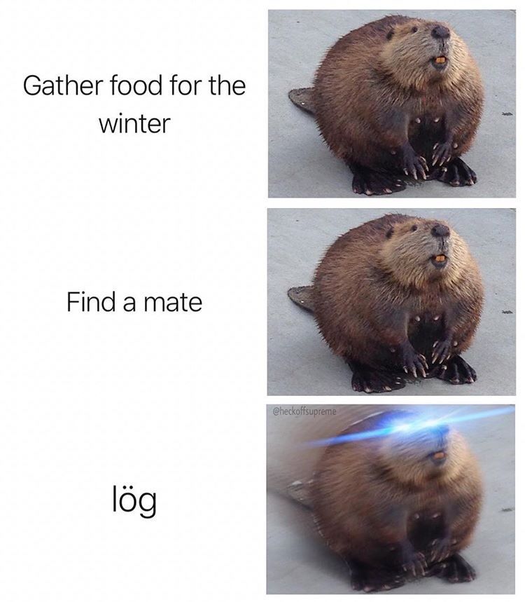 naw