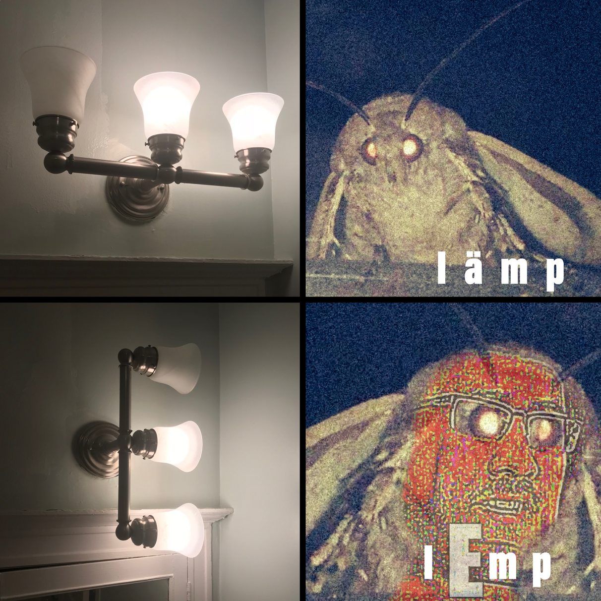 lEmp