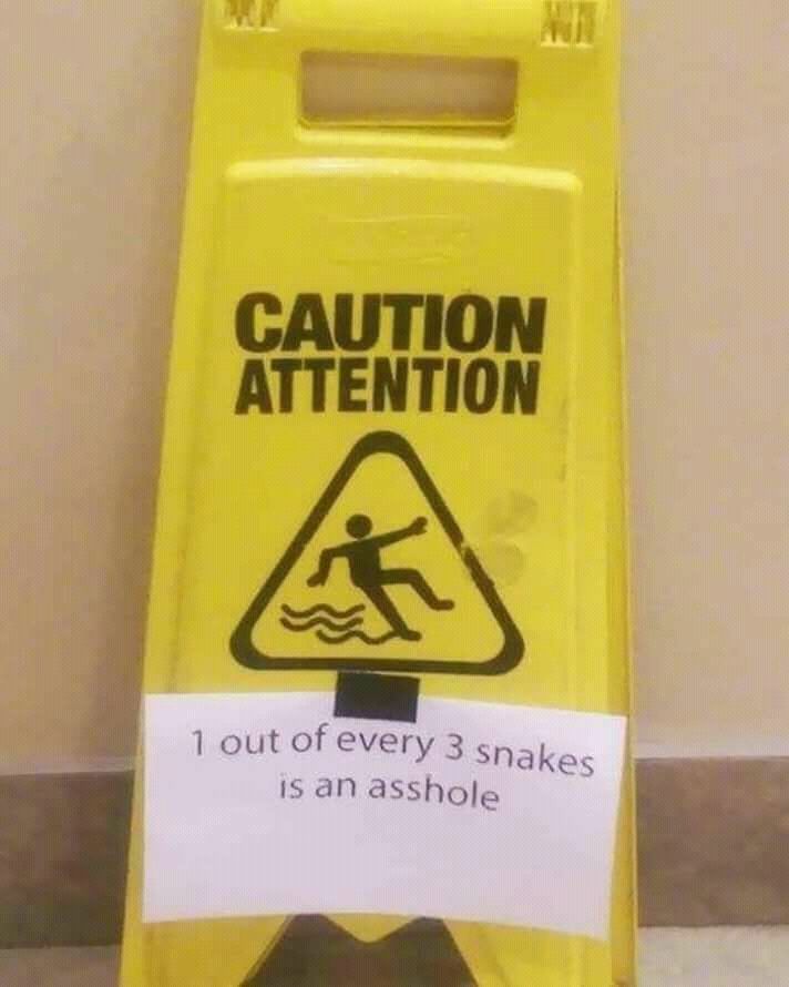 Beware of that one snake!