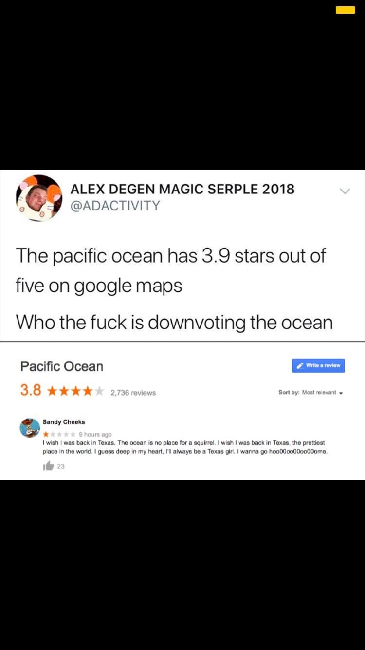 The Ocean Critic