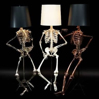 Skeleton lamps to attract some moth memes