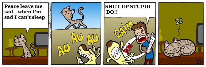 Troll Cat