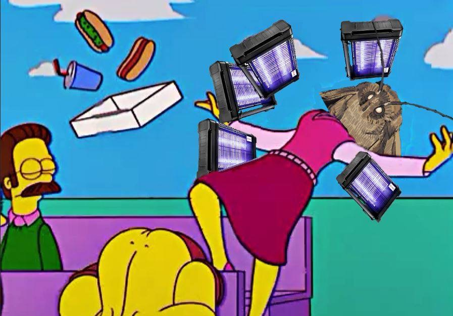when the meme is everywhere