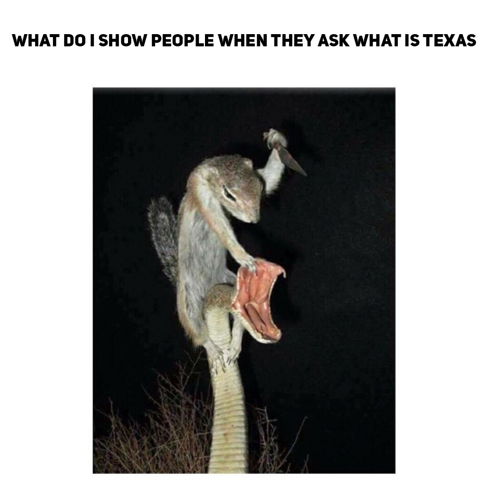 It's a Texas baby.
