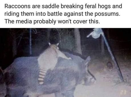 They never cover REAL news