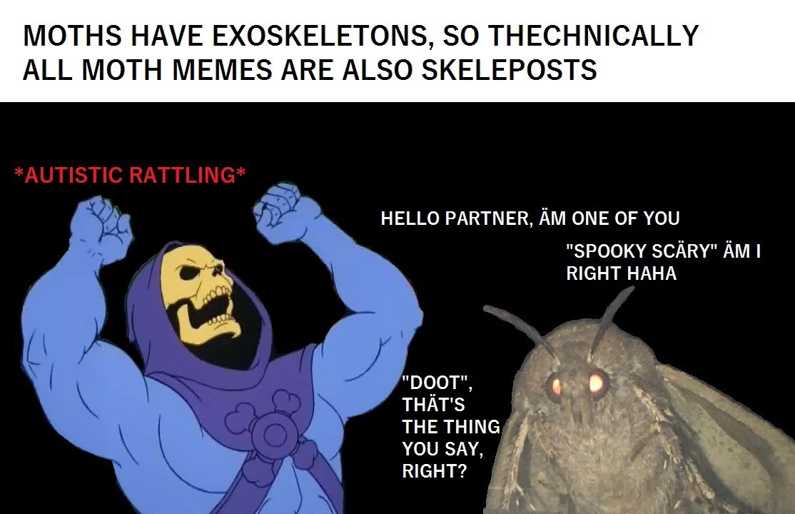 How can endoplebs even compete