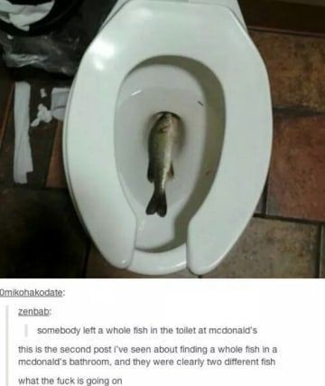 Fishing level 99