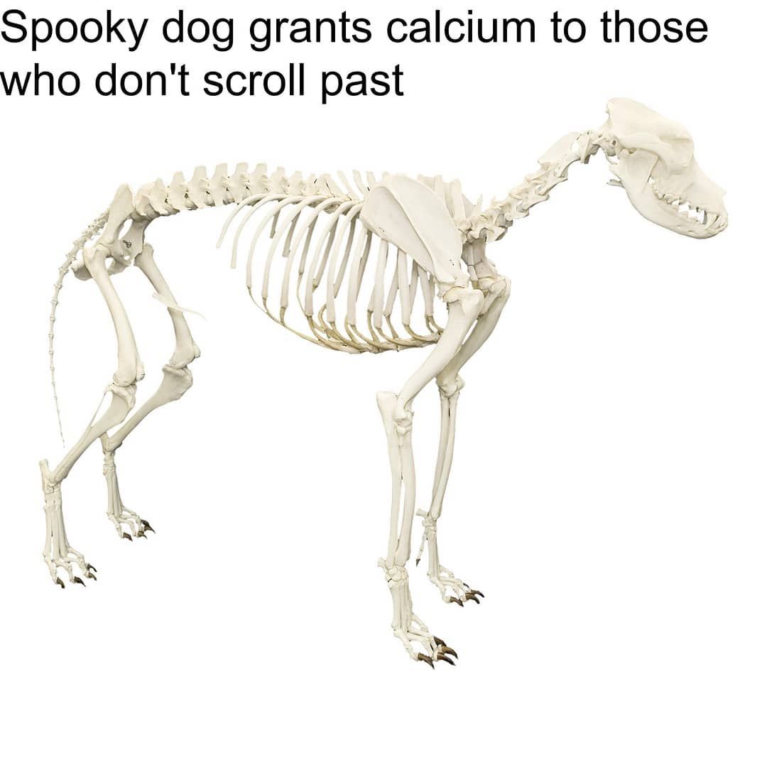 B o i