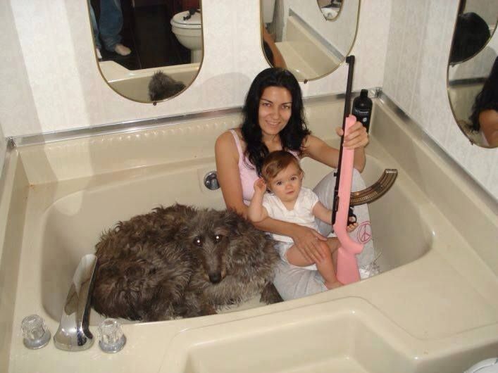 Cursed