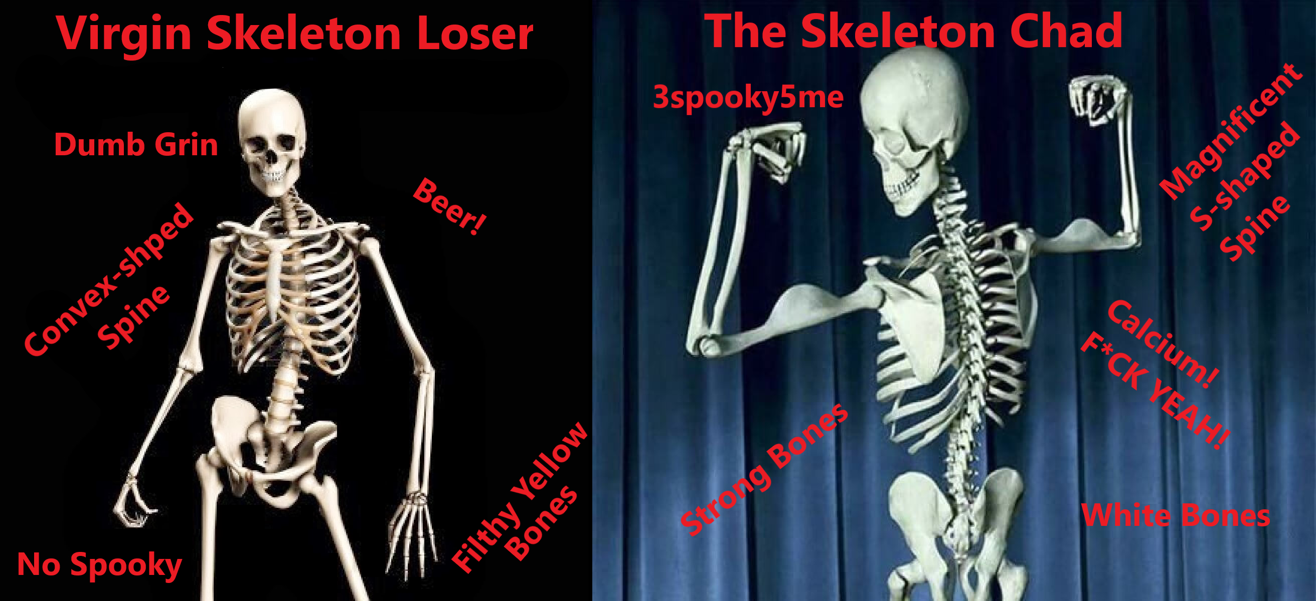 All skeletons are equal, but some skeletons are more equal than others.