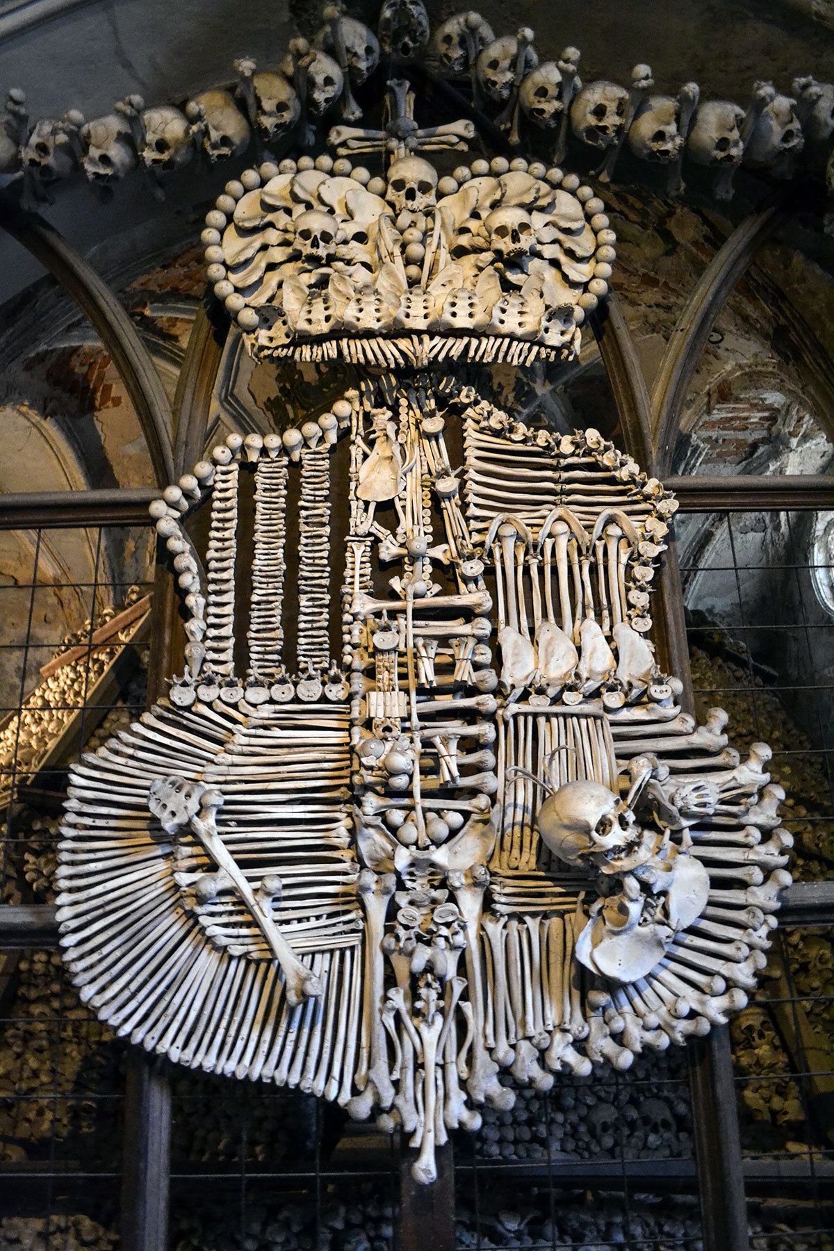 When someone tells me that skeletons aren't spooky, I block them with my spooky shield.