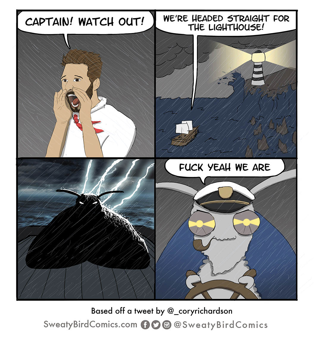 Captain Moth
