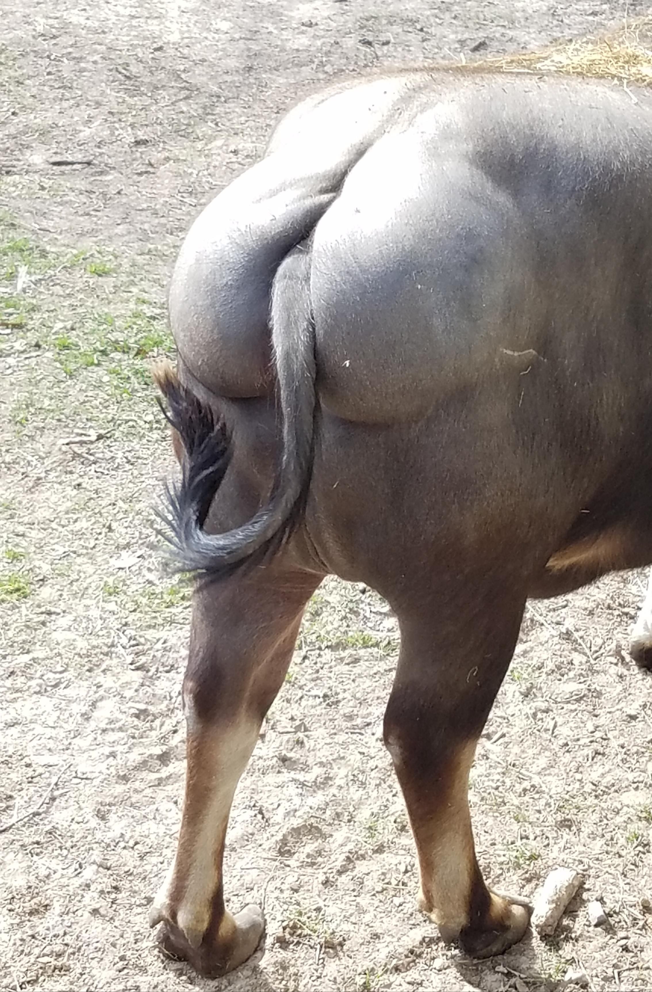 Went to a ride through "safari". I took at least 200 pics. This is the only pic my husband took.