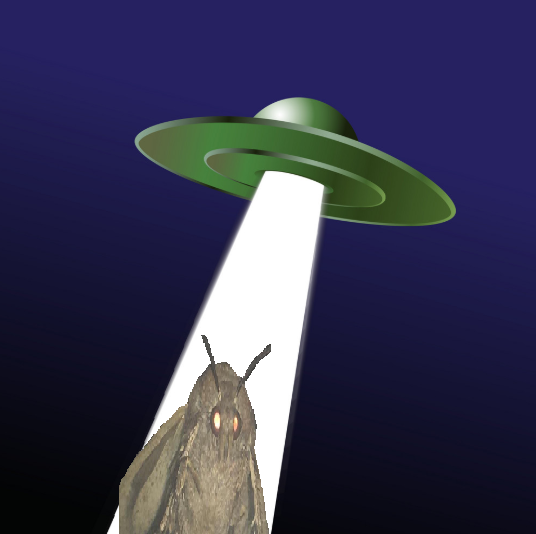 Moth Heaven