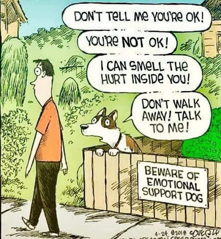 Beware of the emotionally support dog