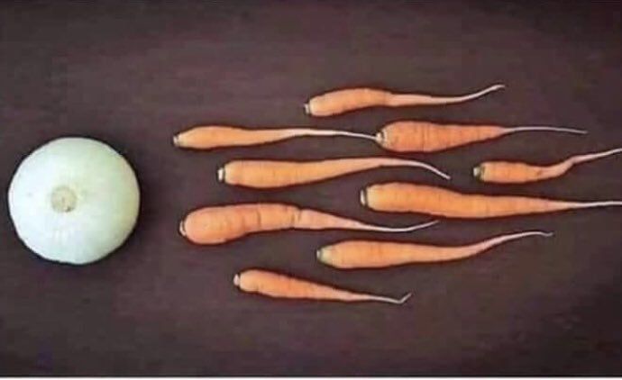 And that ladies and gentlemen is how vegans are made.
