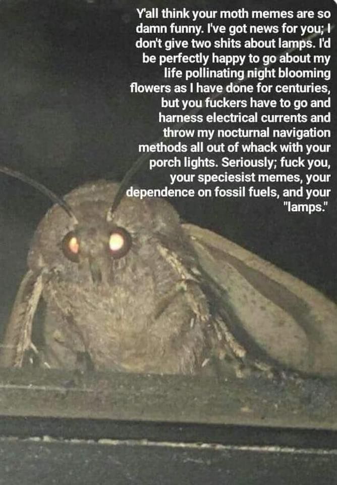 but the lämps bröther?