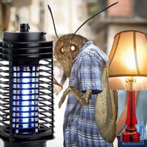When moth memes get out of control