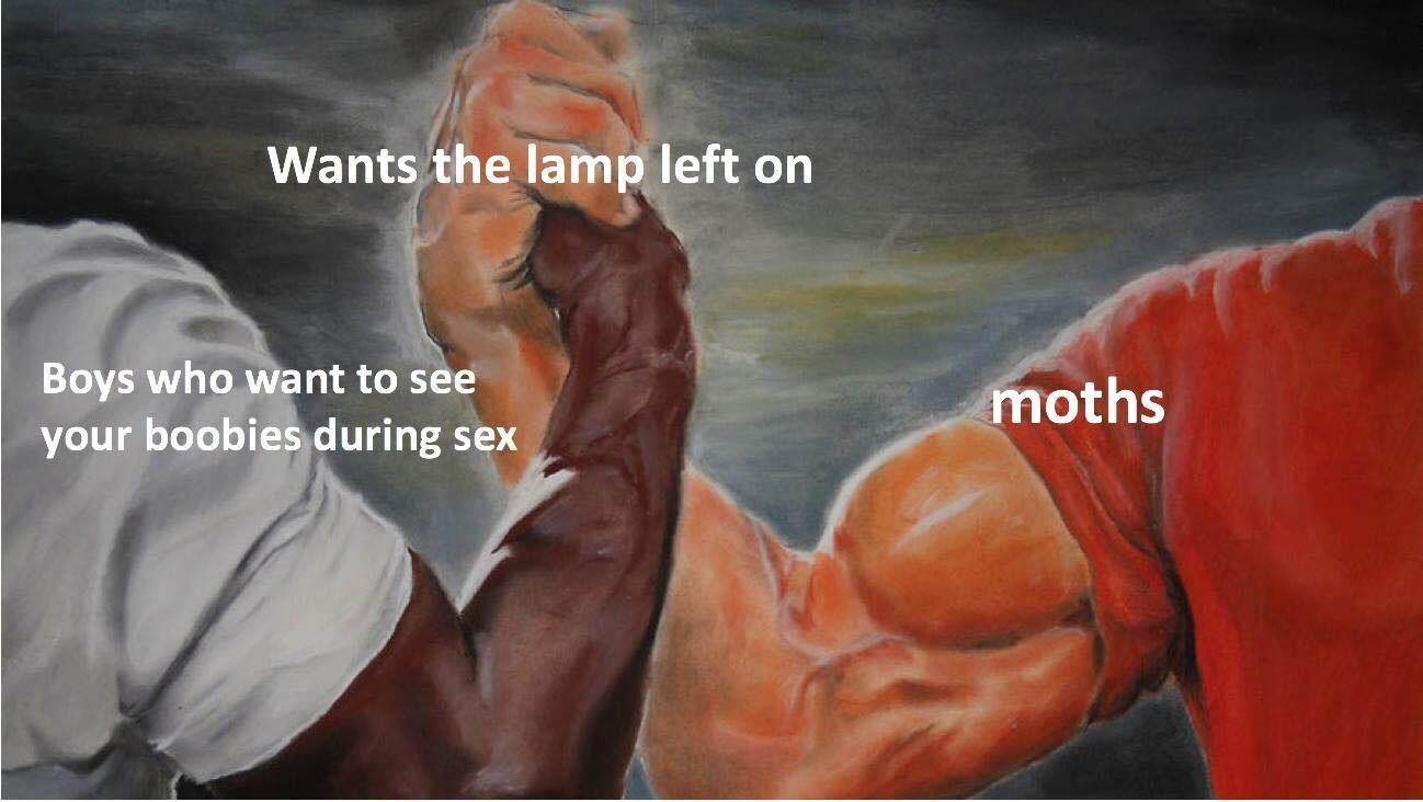 moths don't die
