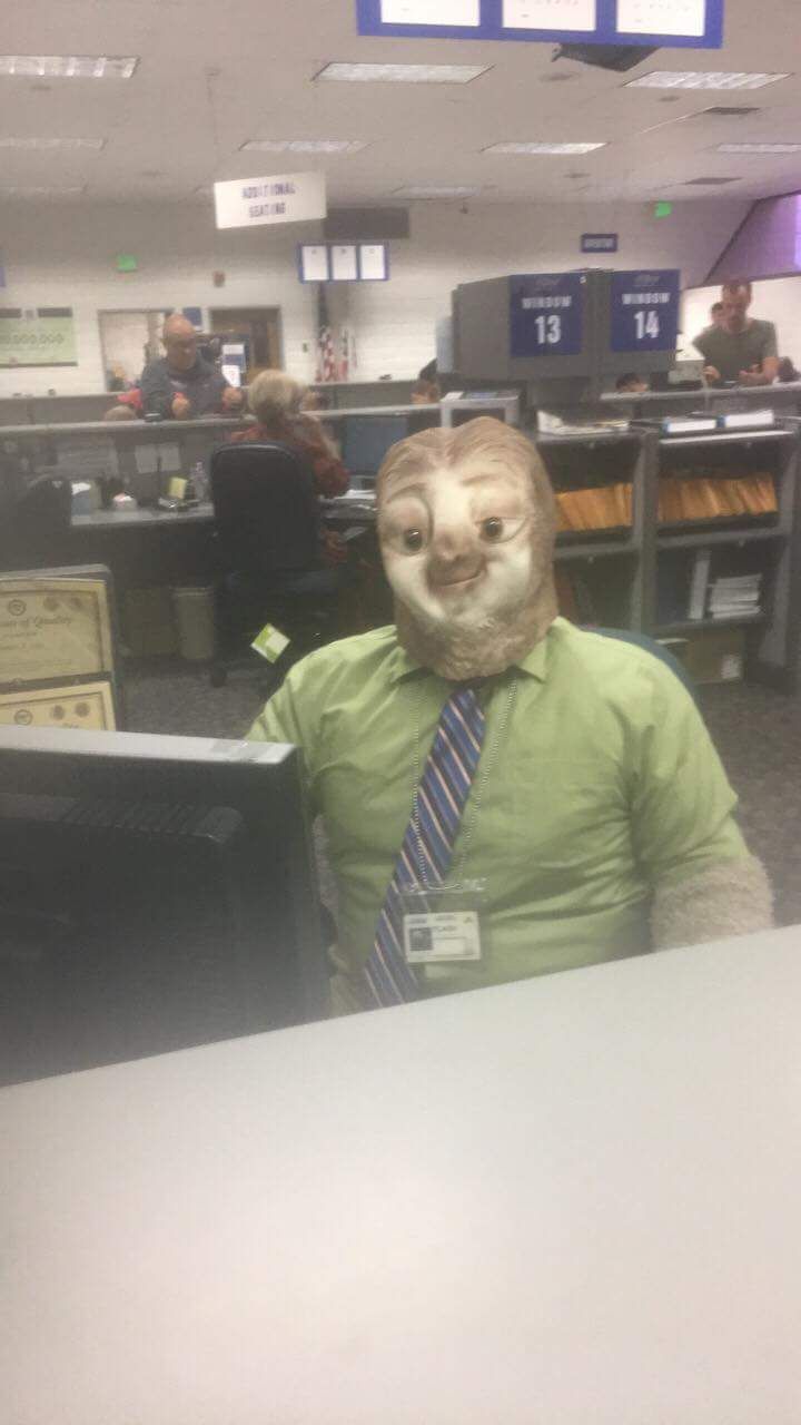 This DMV Employee Dressed Up As A Sloth On Halloween