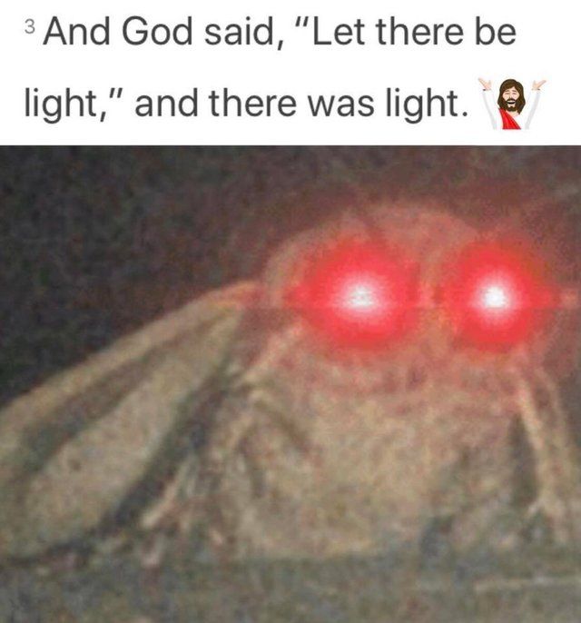 Moths can have happiness from God too