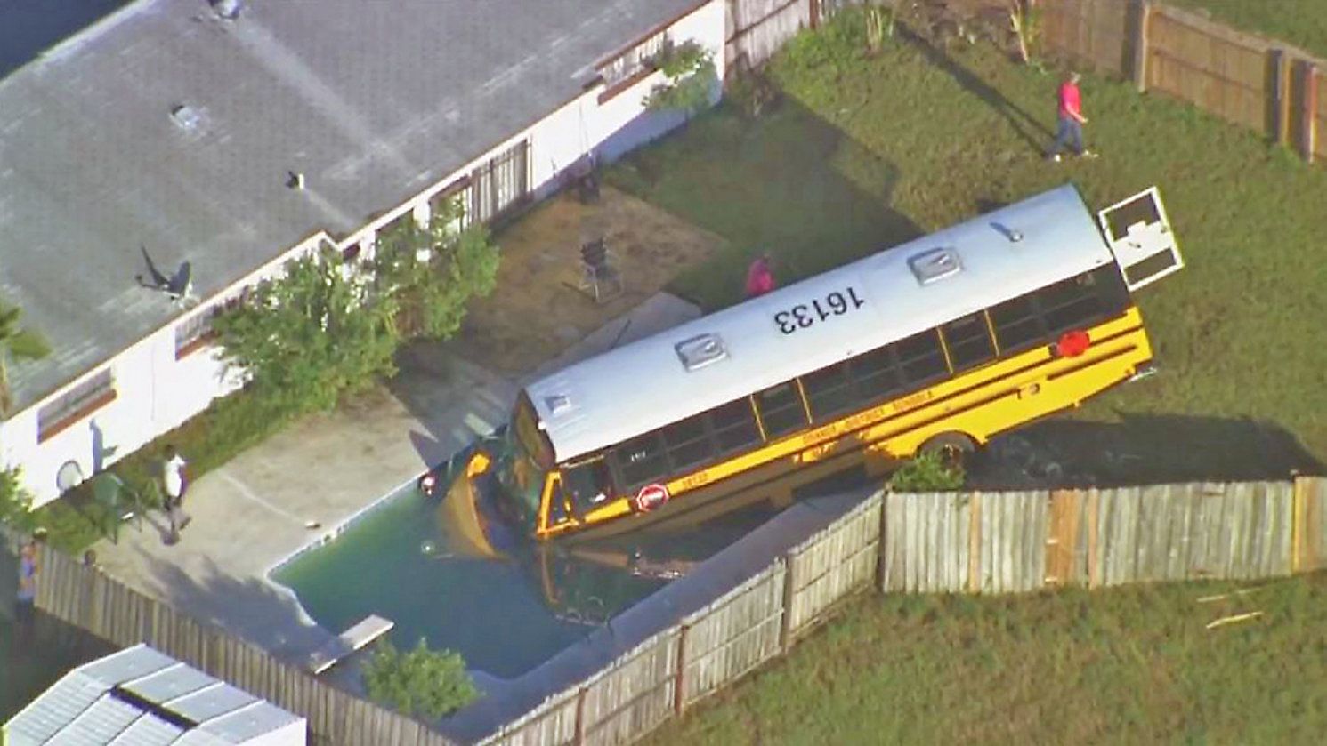 And here we see the wild school bus drinking from a pool.