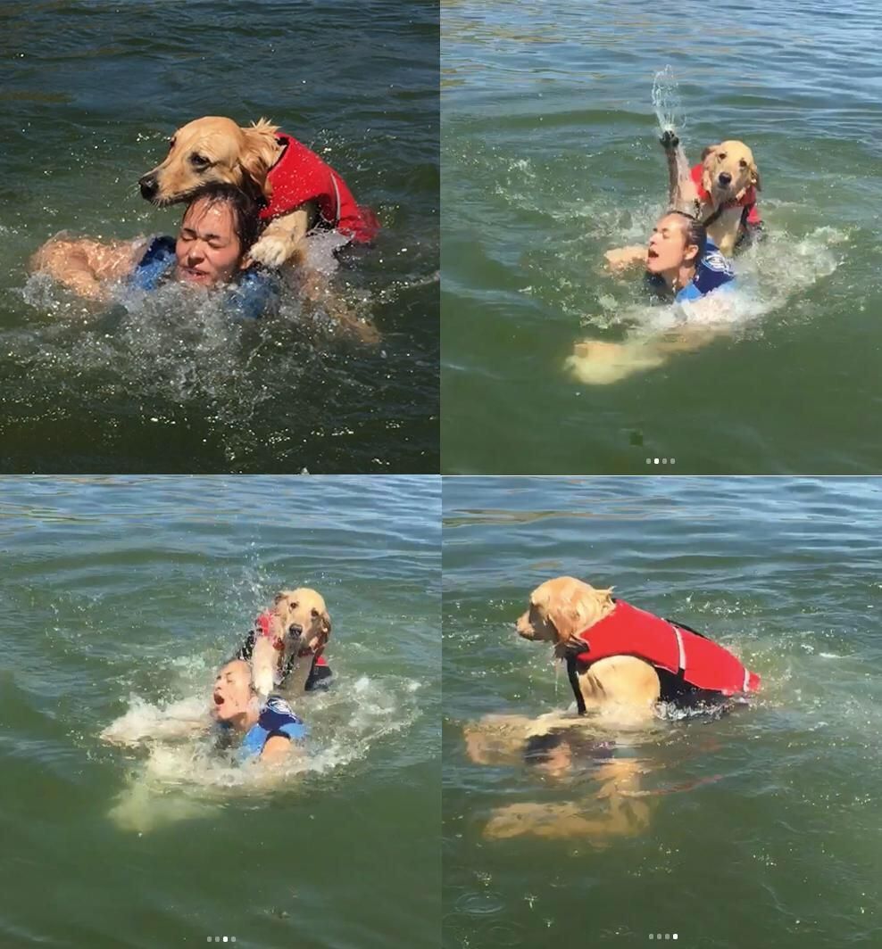 She took the dog out for his first swim.
