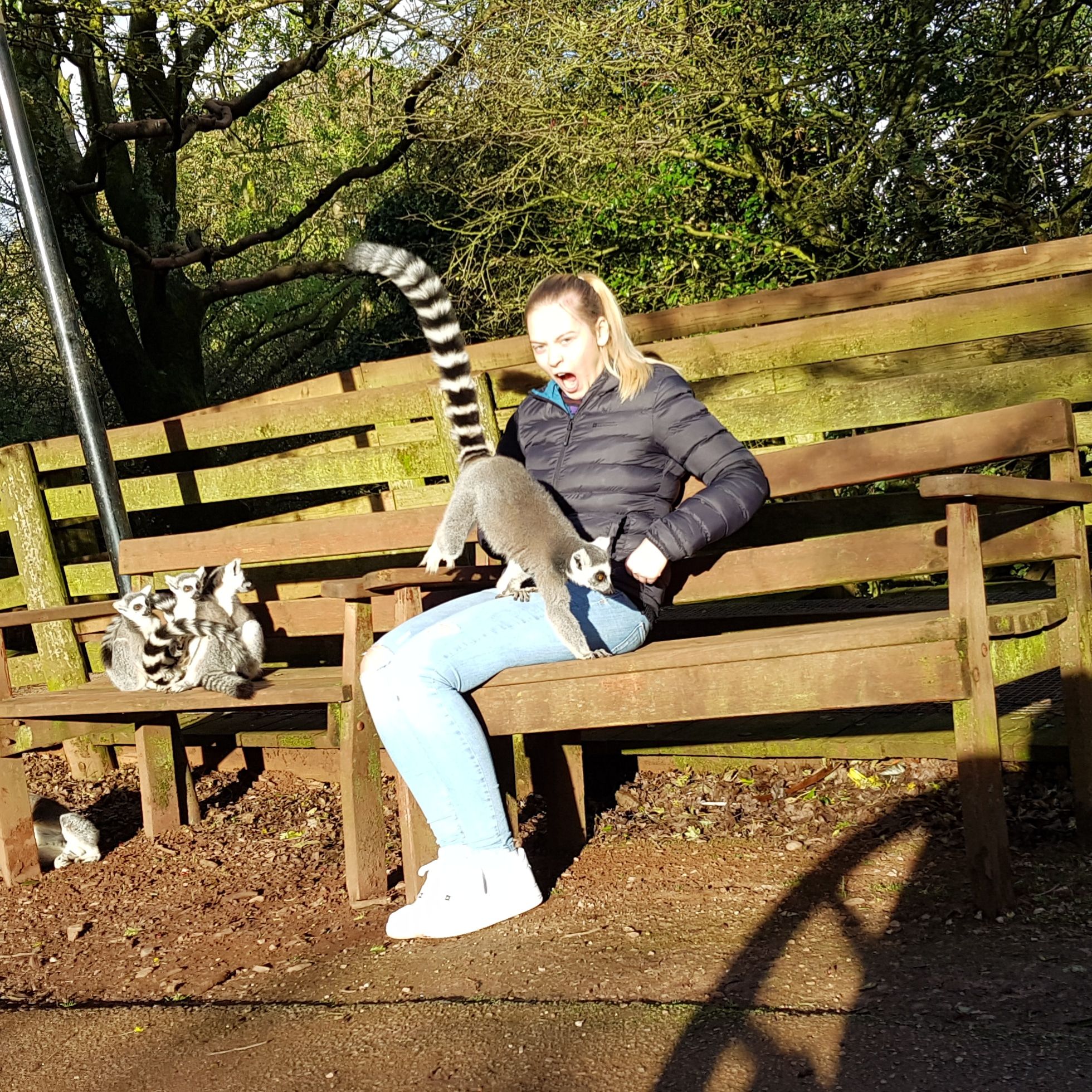 Believe it or not this is the face of pure joy on my girlfriend's face as she made friends with a lemur.