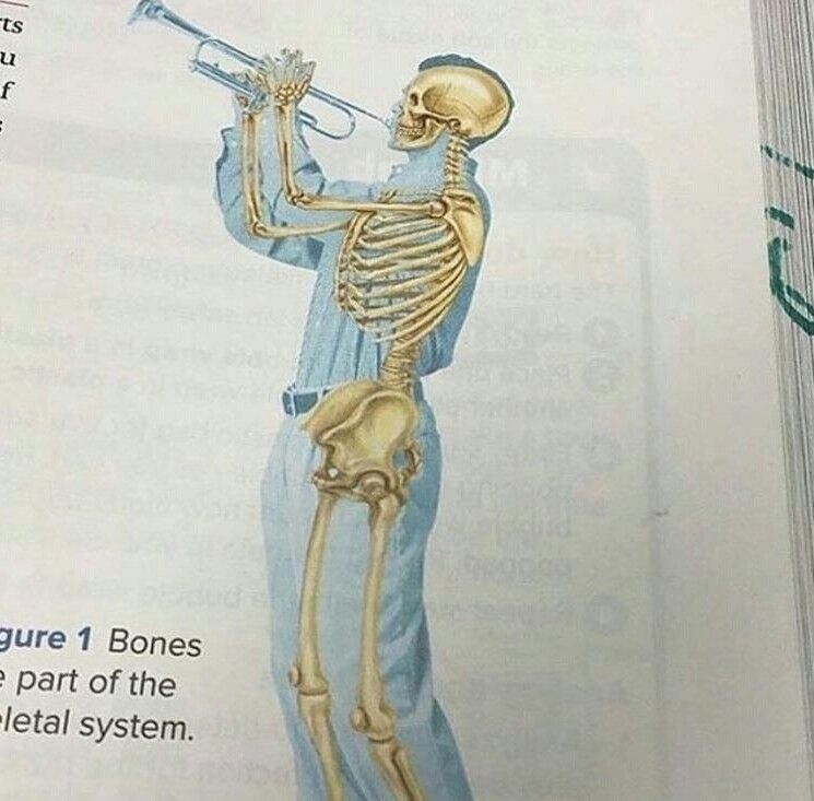 Doot