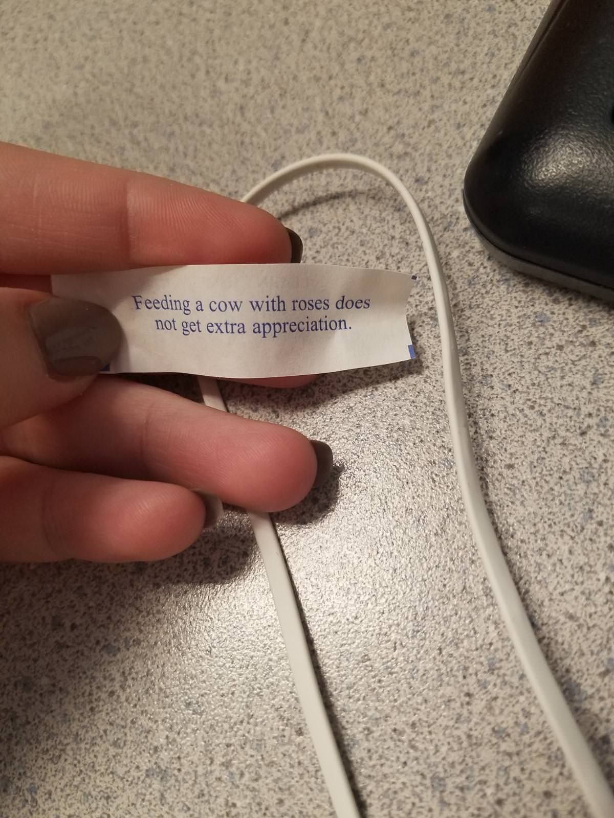 I tossed a fortune cookie in my wife's lunch today. She angrily sent me this picture. Like I control the fortunes inside the cookies and I picked this one on purpose.