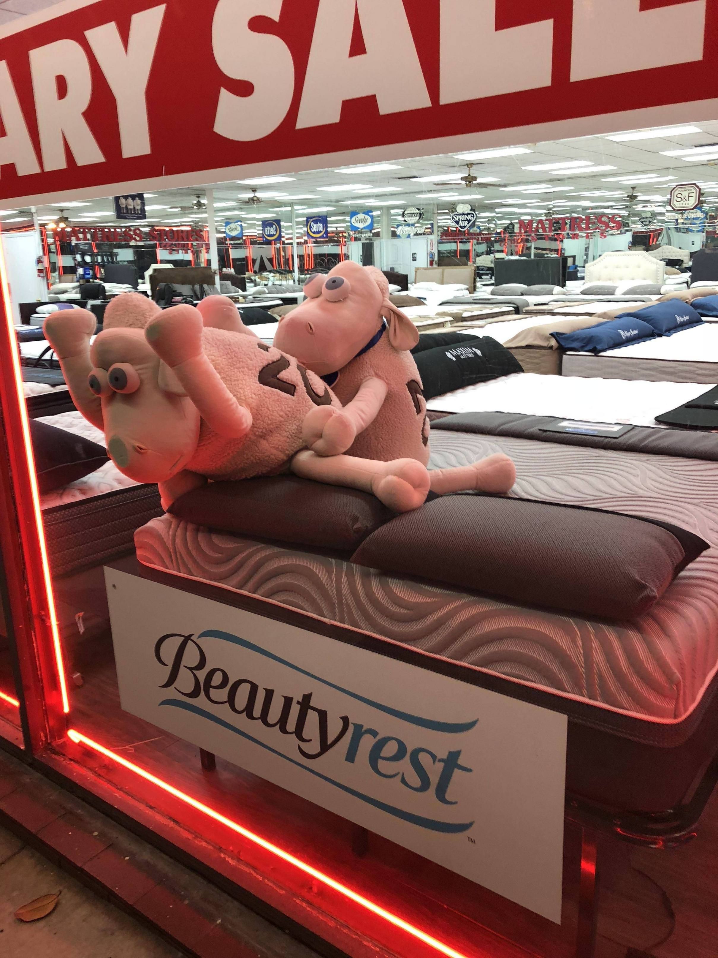 local mattress store getting straight to the point
