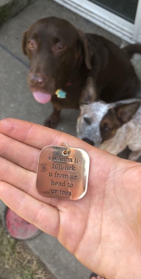 Best dog tag ever.