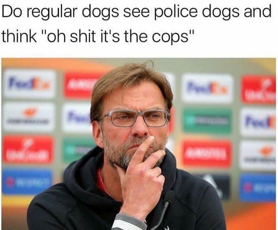 DAMN DOG MAYBE DO BE LIKE THAT SOMETIMES
