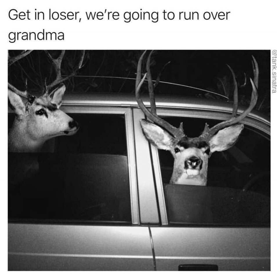 Do it , old shit