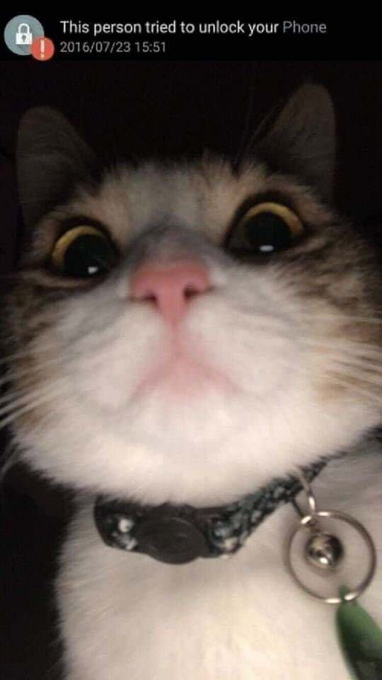 This person tried to unlock your phone.