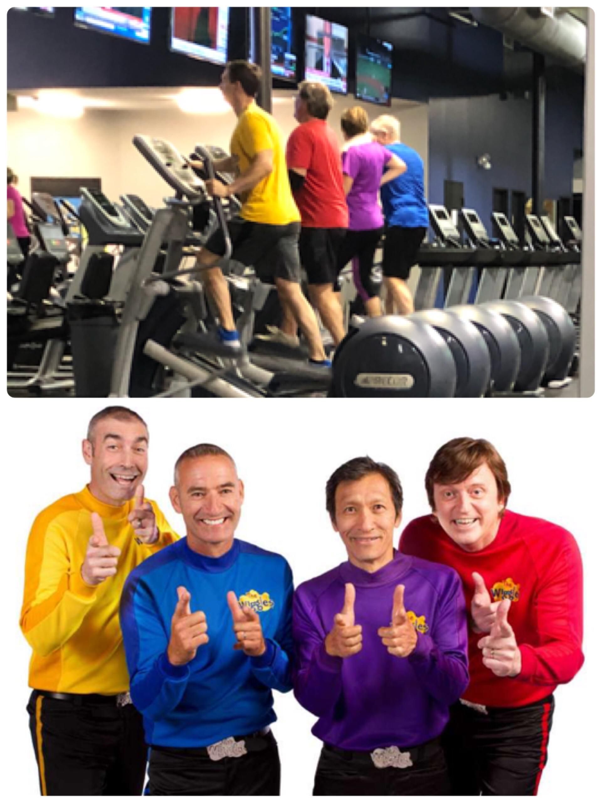 Spotted The Wiggles at the gym this morning