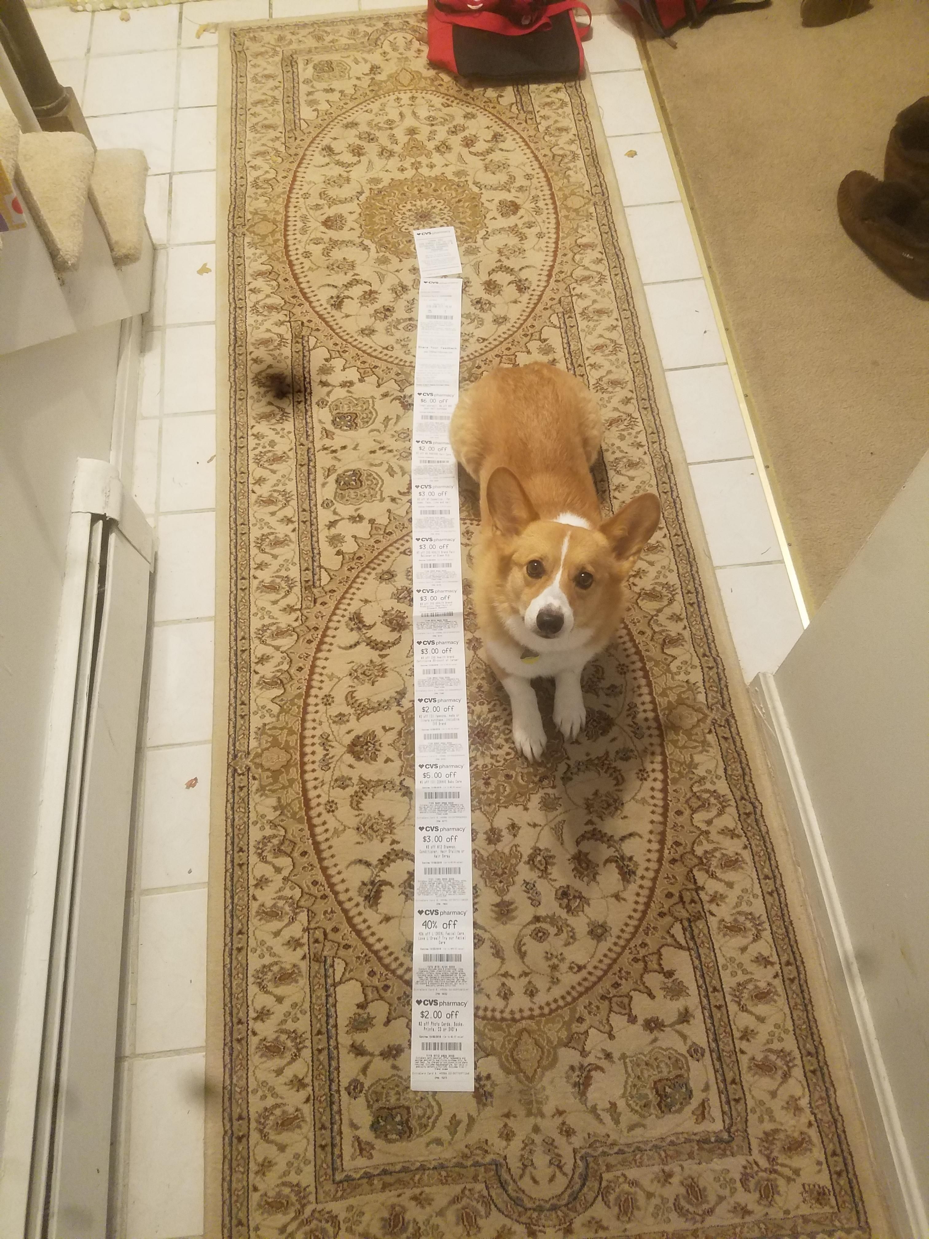 $0 CVS receipt for a flu shot.