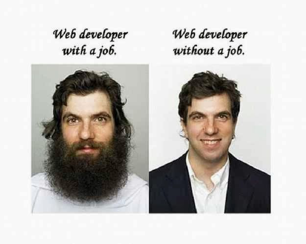 Web Developer and Employment Status