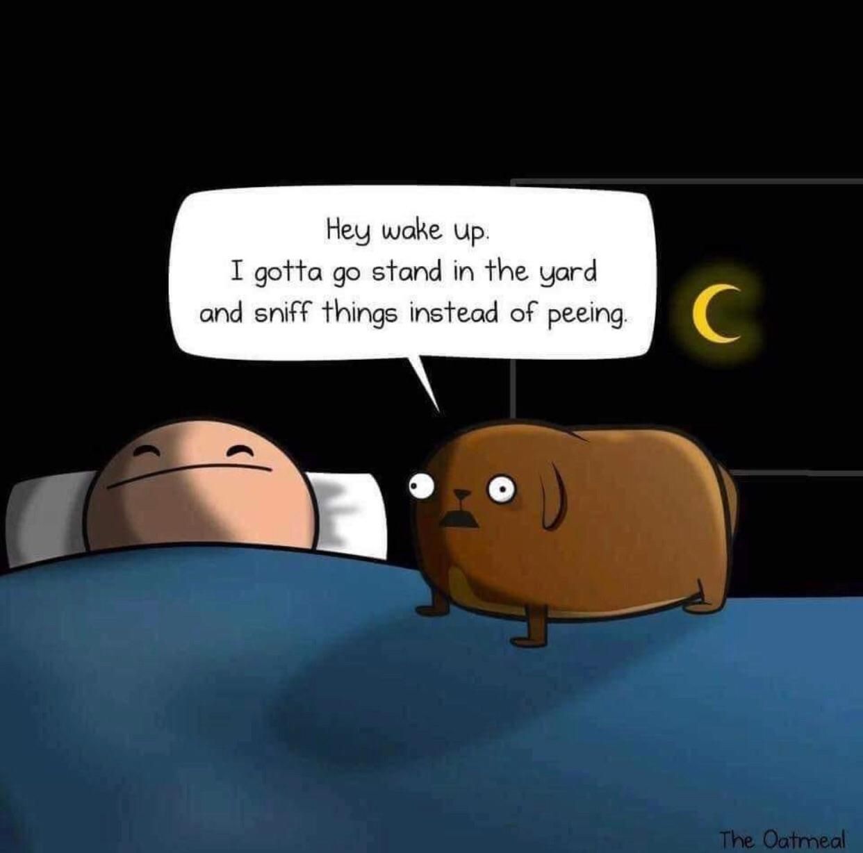 Every dog owner will sympathize.