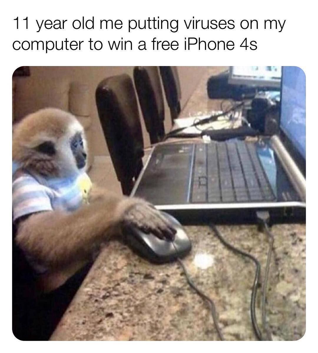 Normie stuff