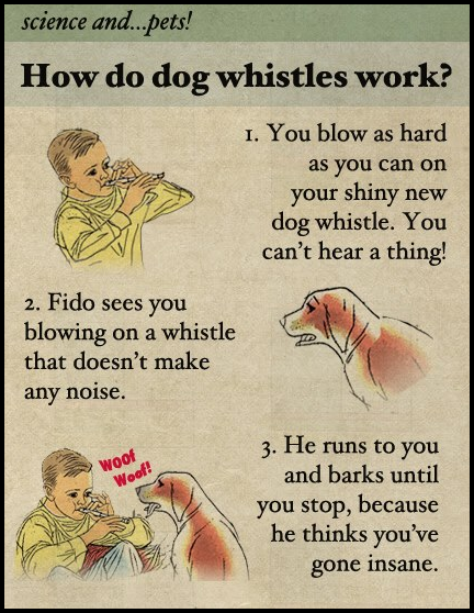 Science... How does dog whistle work