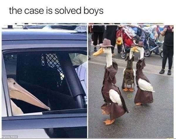 This is the last time you duck the law