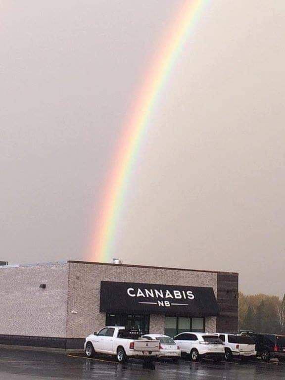 I found the pot at the end of the rainbow!!