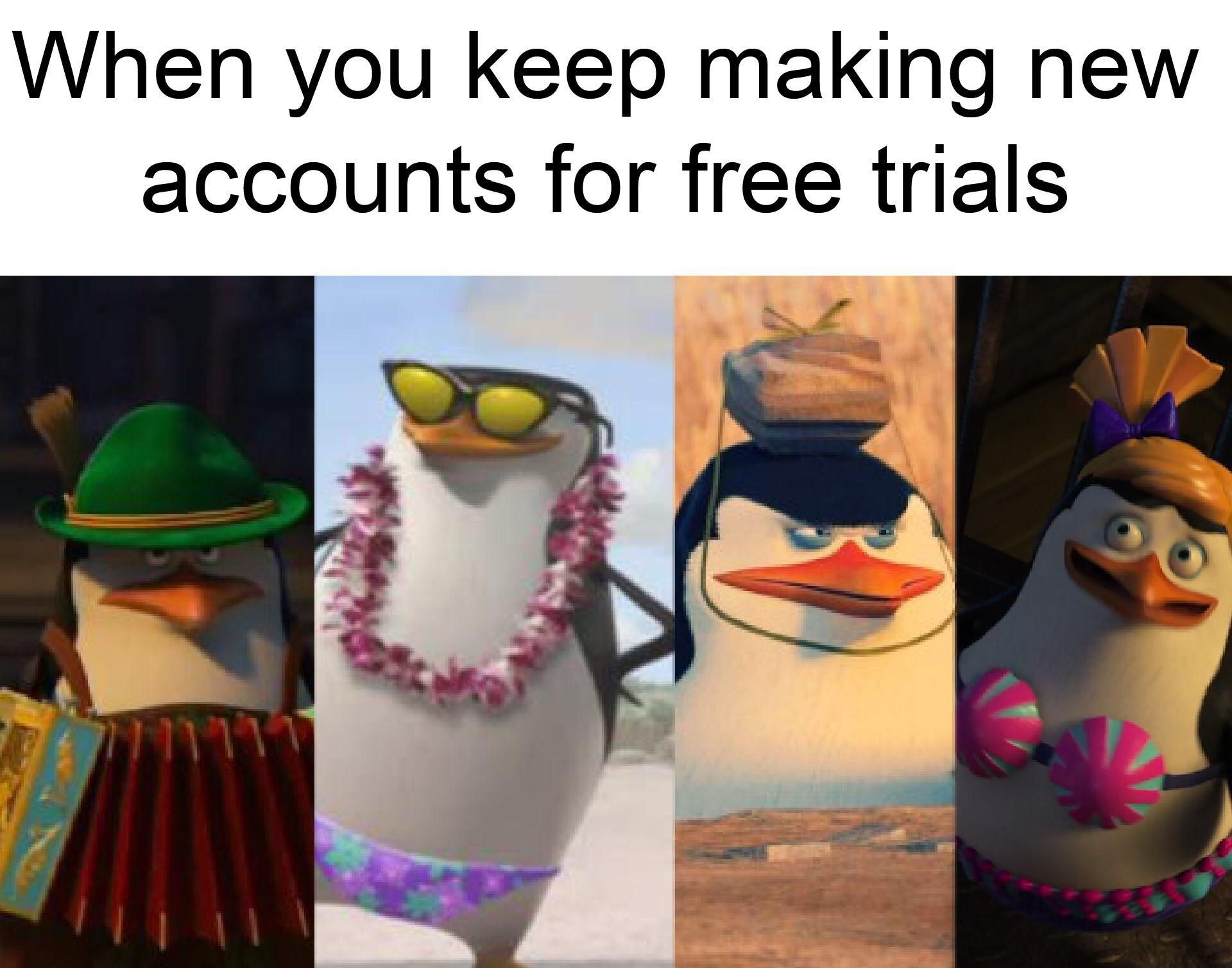 The perfect amount of accounts