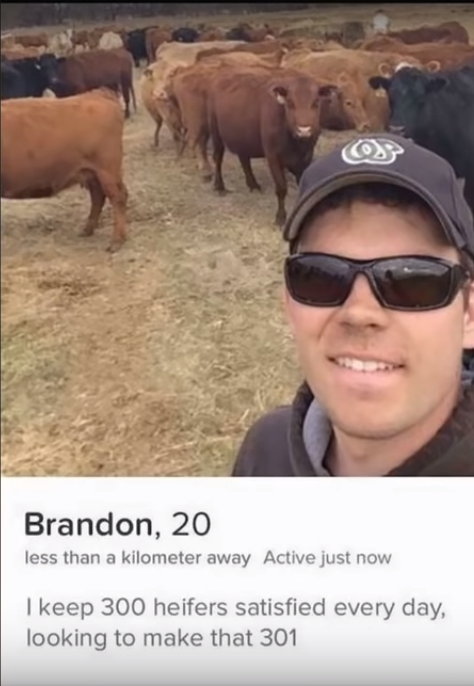 If you're gonna make a tinder, take notes from this guy.