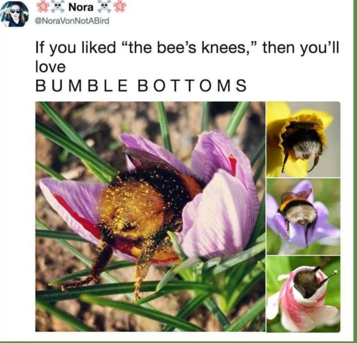 bumble bottoms