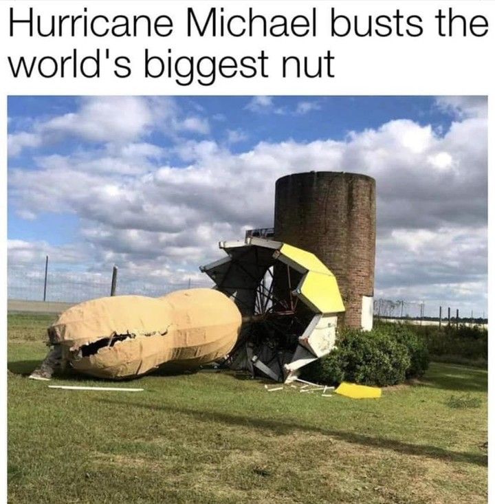 Biggest Nut Broken