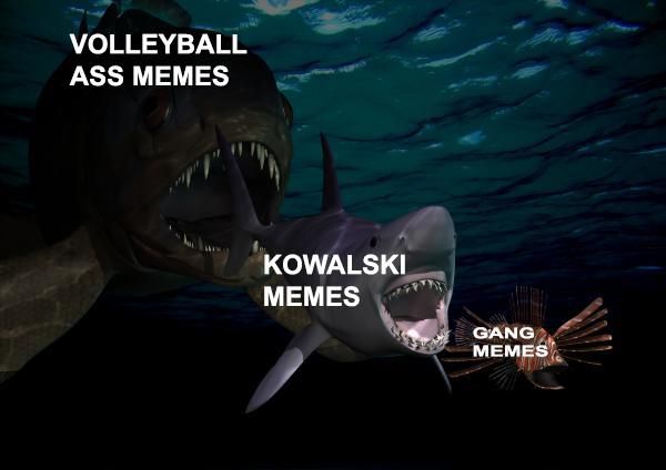 The ass meme is just so popular cus its an ass