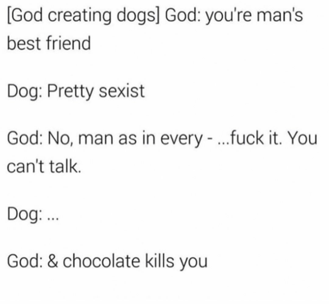 Poor Dogs, God wasn't very nice