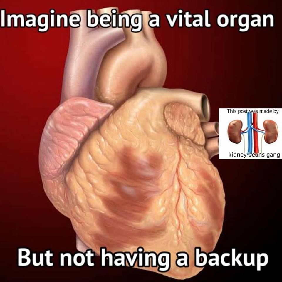 Need Backup